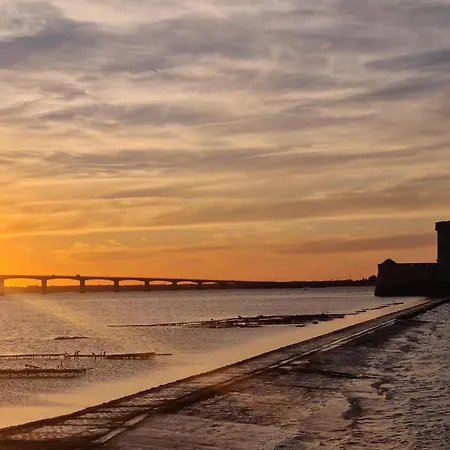 2 Bedroom Awesome In Apartment